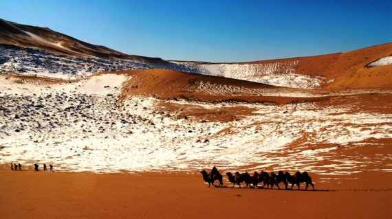 Badin Jaran Desert Exped20