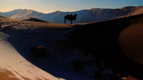 Badin Jaran Desert Exped9