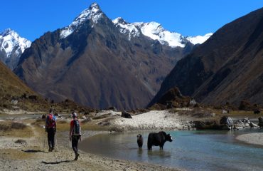 Expedition Bhutan Snow16