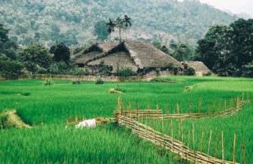 North Vietnam Mountain Exped