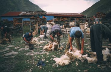 Exped Caucasus