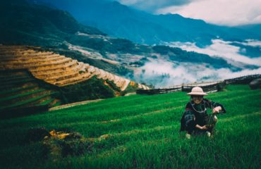 Northern Vietnam Exped 14 days