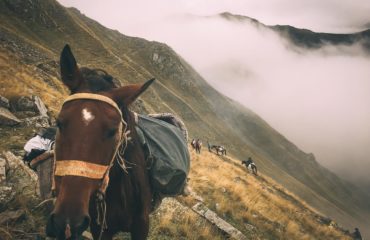 Azerbaijan Exped