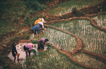 Northern Vietnam Exped 14 days