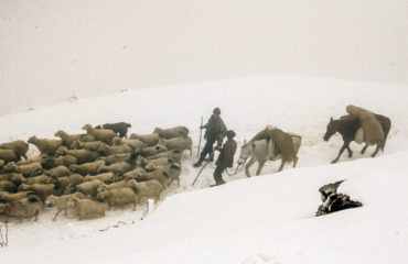 Exped Caucasus