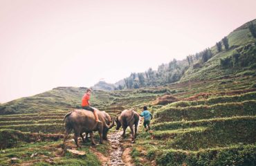 Northern Vietnam Exped 14 days