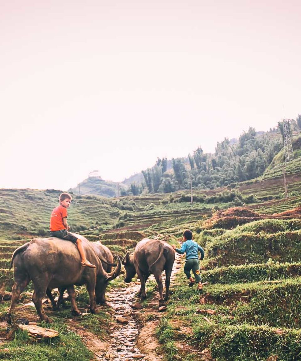 Northern Vietnam Exped 14 days