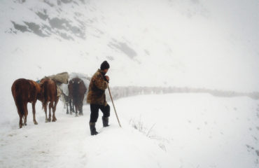 Exped Caucasus