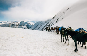 Exped Caucasus