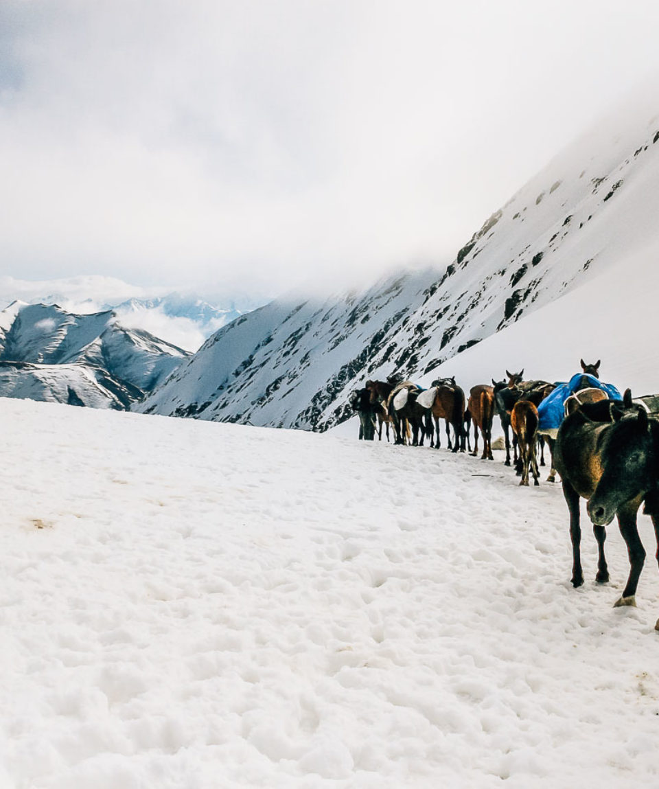 Exped Caucasus