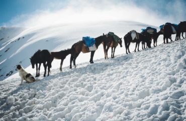 Exped Caucasus