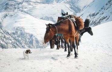 Exped Caucasus
