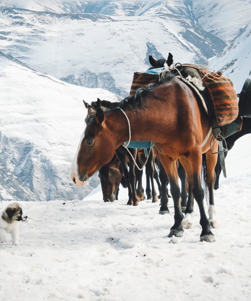 Exped Caucasus