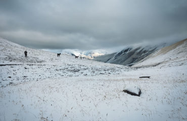 Azerbaijan Exped