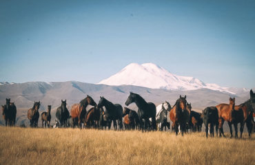 Russian Trekking Exped