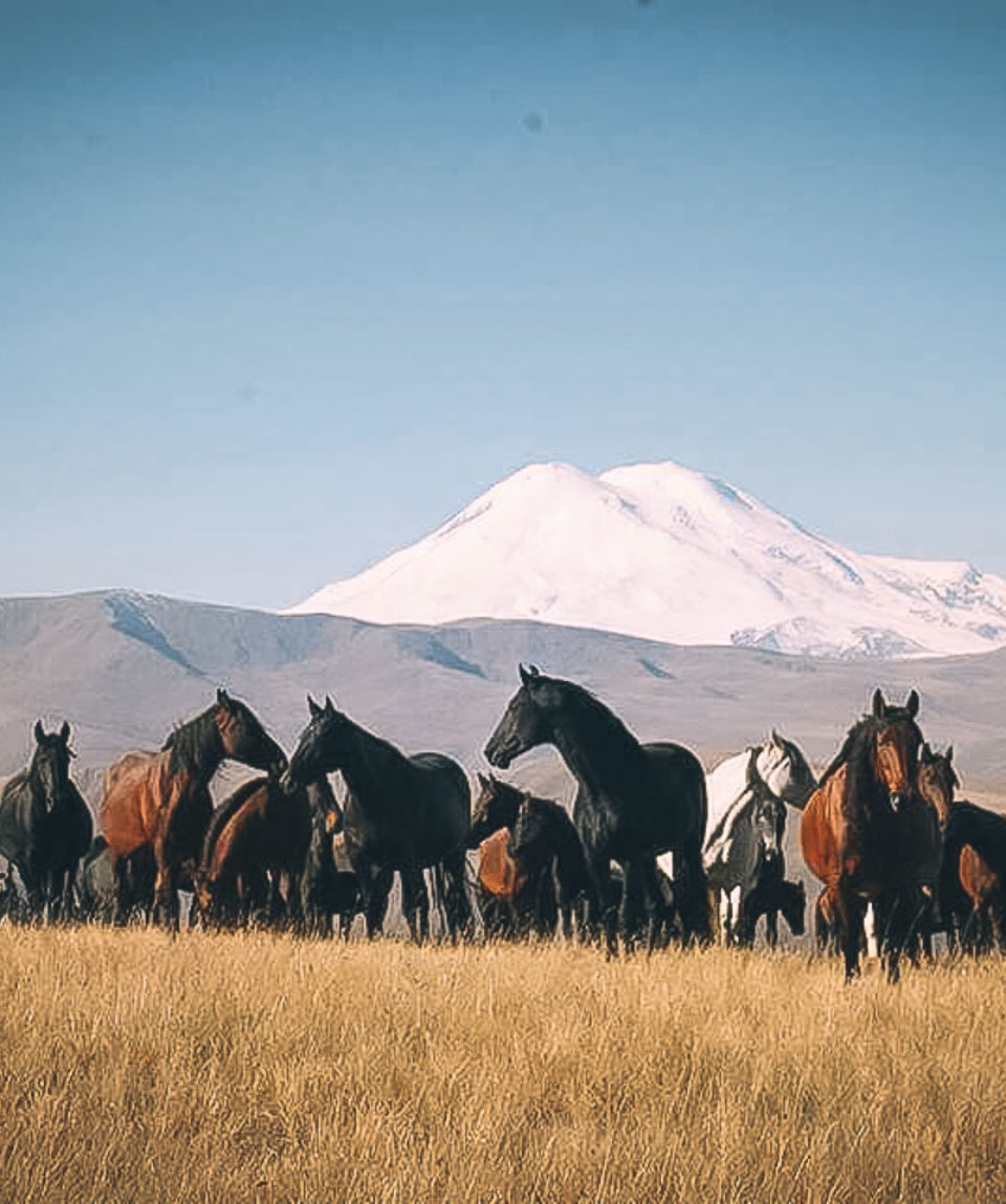 Russian Trekking Exped