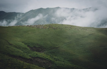 Exped Caucasus