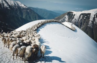 Exped Caucasus