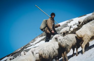 Exped Caucasus