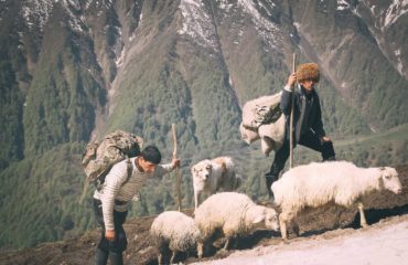 Exped Caucasus