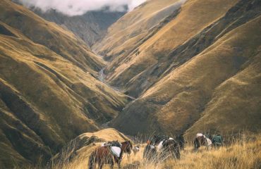 Azerbaijan Exped