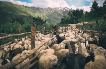 Exped Caucasus