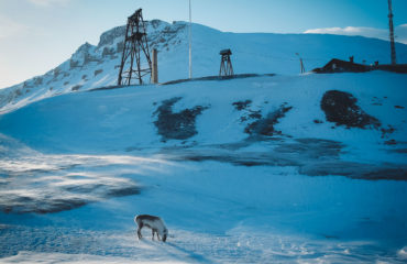 Polar Exped