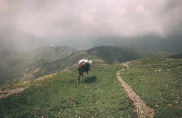 Exped Caucasus