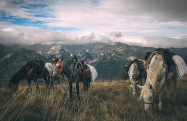 Azerbaijan Exped