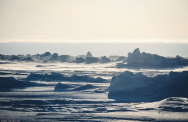 North Pole Exped