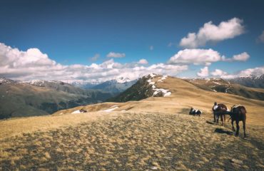 Exped Caucasus
