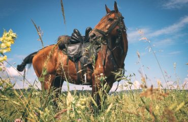 Russian Trekking Exped