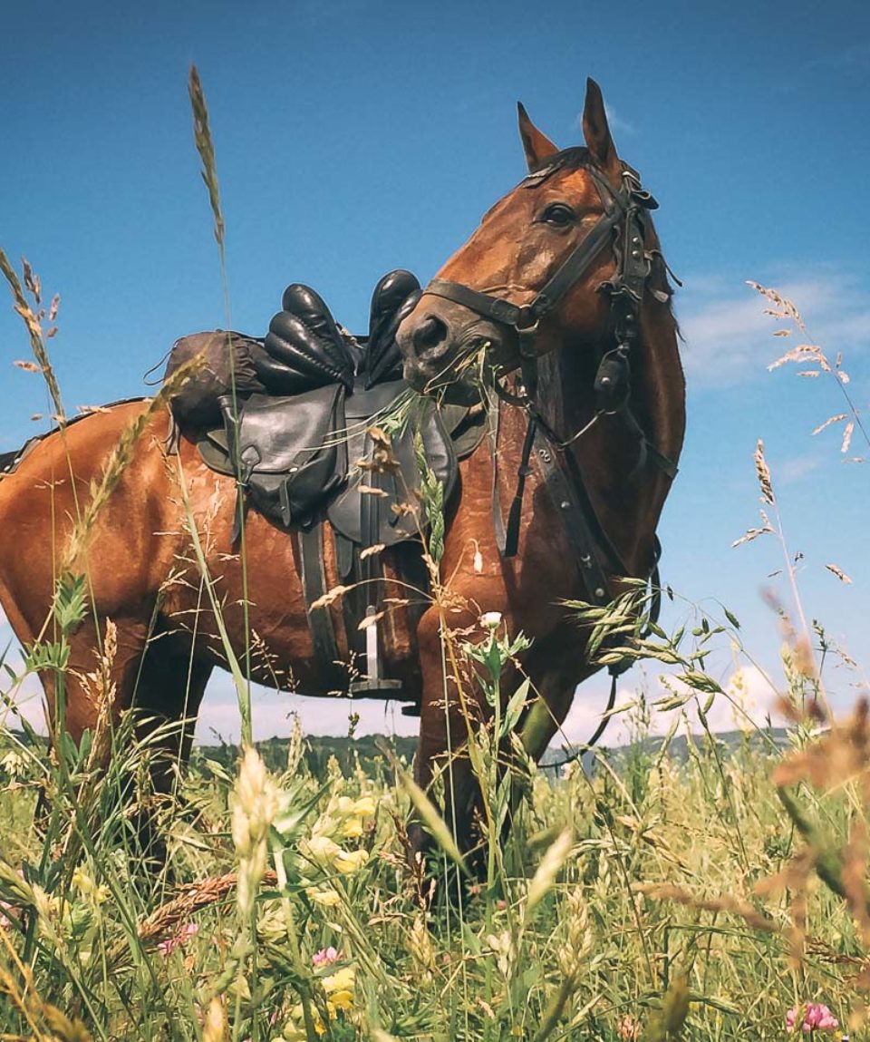 Russian Trekking Exped