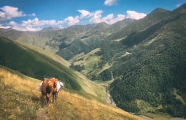 Exped Caucasus