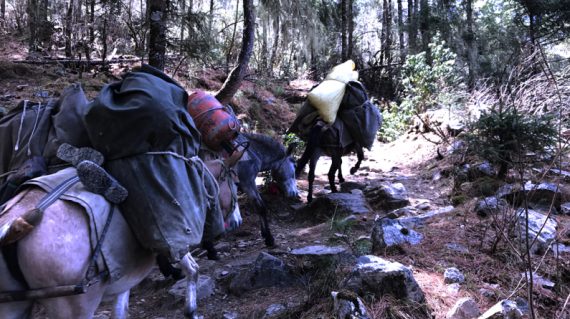 Expeds Druk Path Trek Bhutan2