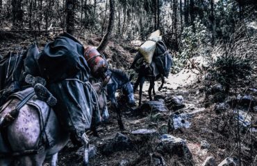 Expeds International Bhutan Druk Path Trek3