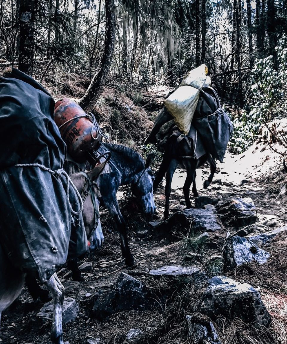 Expeds International Bhutan Druk Path Trek3