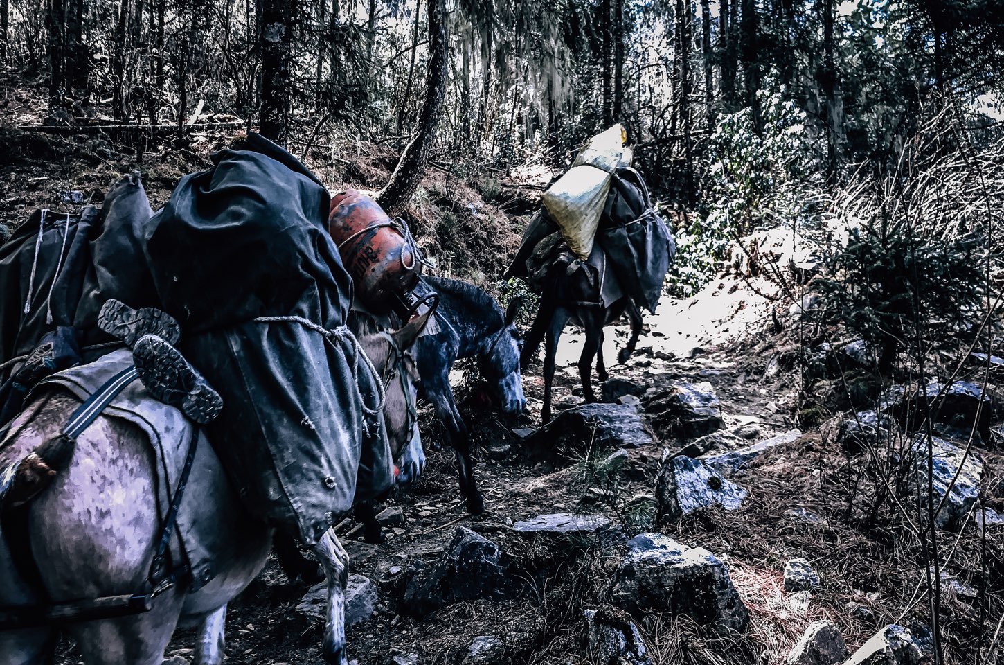 Expeds Druk Path Trek Bhutan