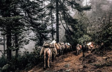 Expeds International Bhutan Druk Path Trek6