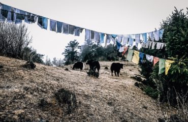 Expeds International Bhutan Druk Path Trek7