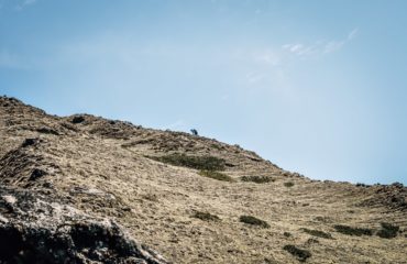Expeds International Bhutan Snowman Trek11