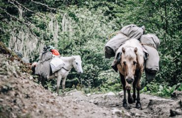 Expeds International Bhutan Snowman Trek20