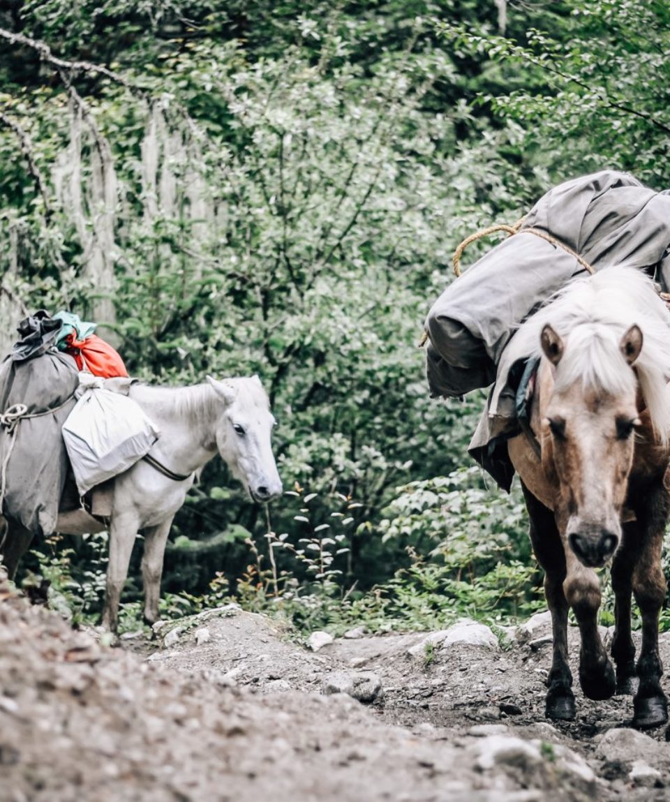 Expeds International Bhutan Snowman Trek20