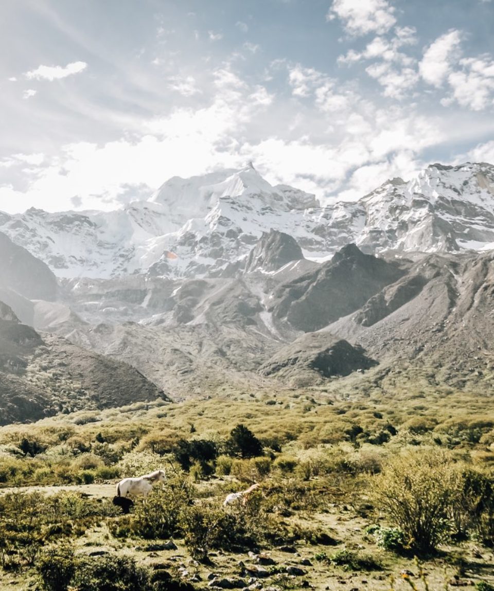 Expeds International Bhutan Snowman Trek8