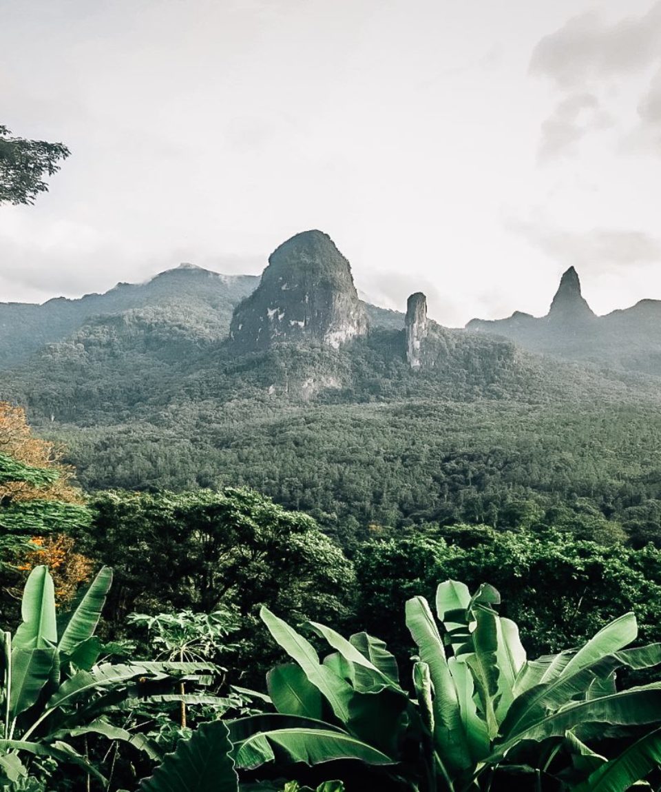 Expeds International Sao Tome and Principe42