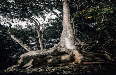 Expeds International Sao Tome and Principe45
