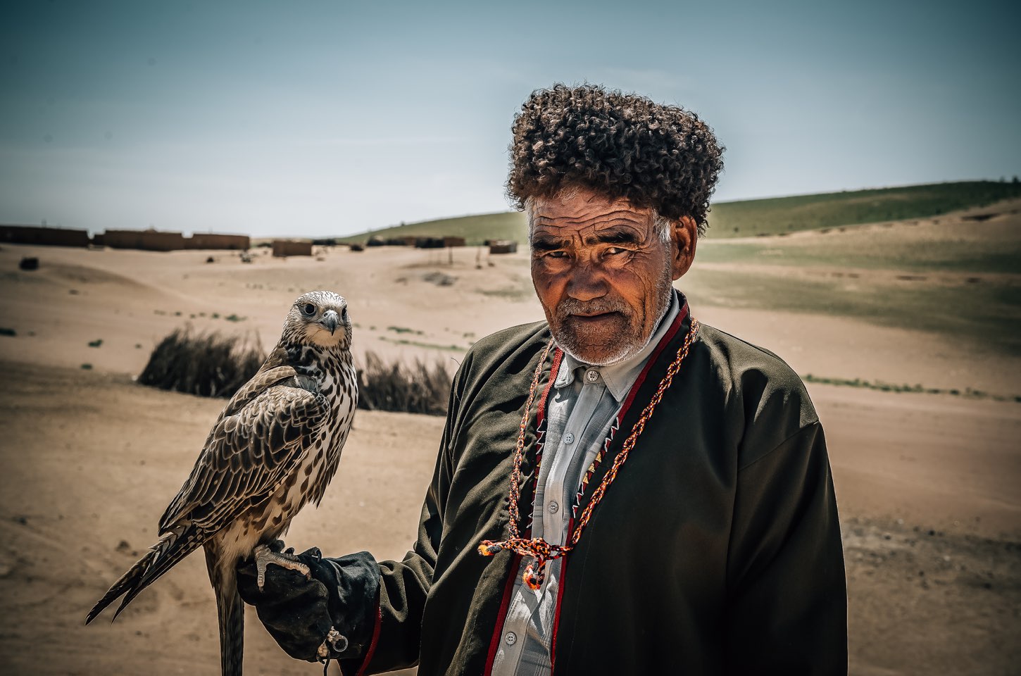 Karakum Desert