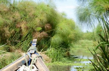 Expeds Lake Victoria