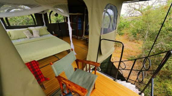 Expeds Tanzania Safari2