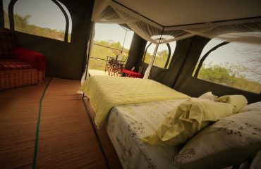 Expeds Tanzania Safari